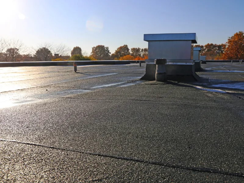 nettoyage toiture le mans